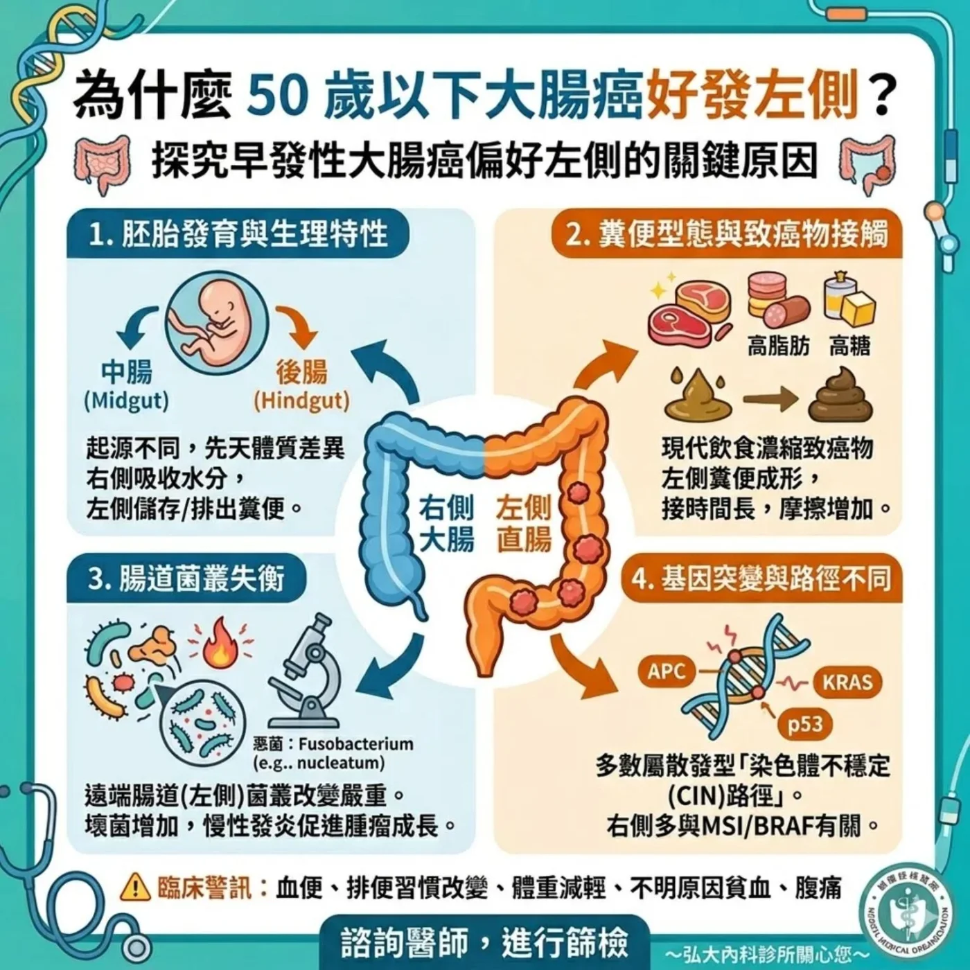 大腸左右側生理結構示意圖
